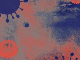 Cover for: Endemic: when emergency is the norm