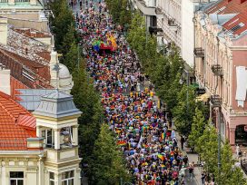 Cover for: Legally sanctioned homophobia in the EU
